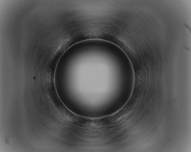 X0000091900739200709051402