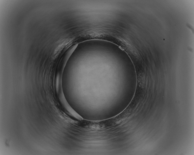 X0000091900740200709051402