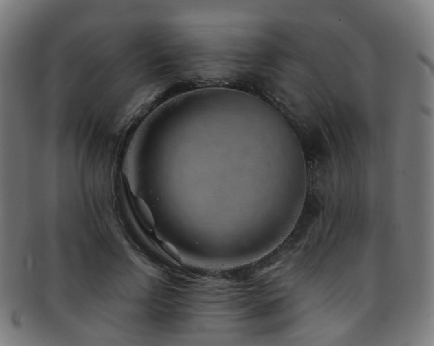 X0000091900742200709051402