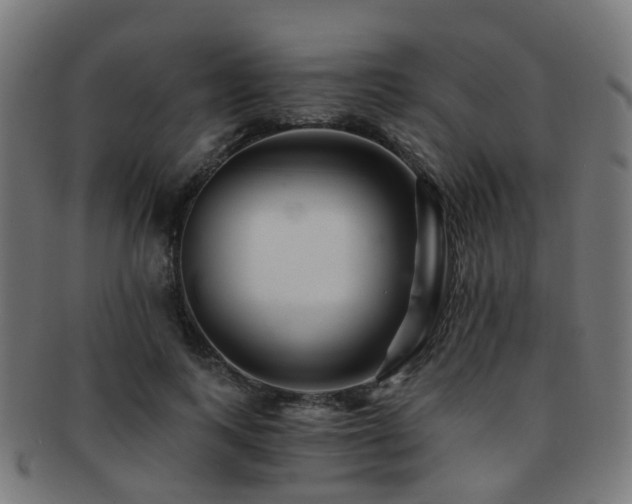 X0000091900743200709051402