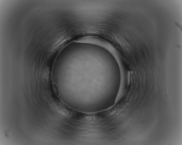 X0000091900744200709051402