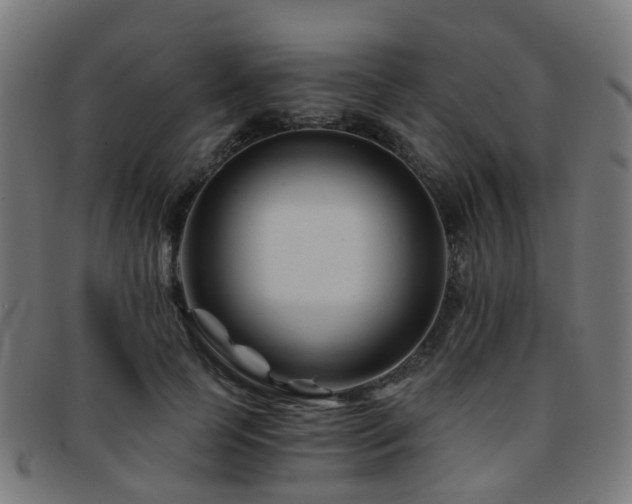 X0000091900745200709051402