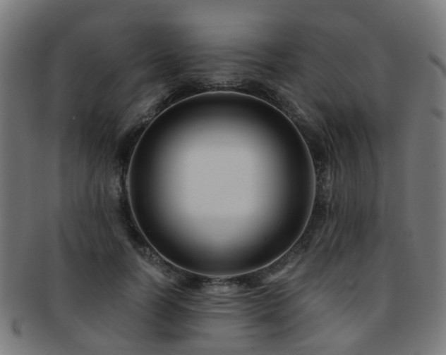X0000091900746200709051402