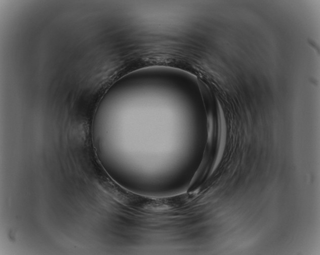 X0000091900747200709051402