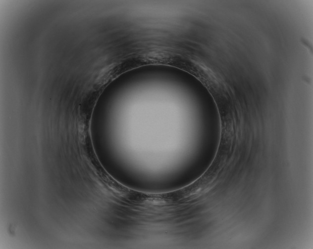 X0000091900749200709051402