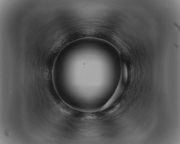 X0000091900750200709051402