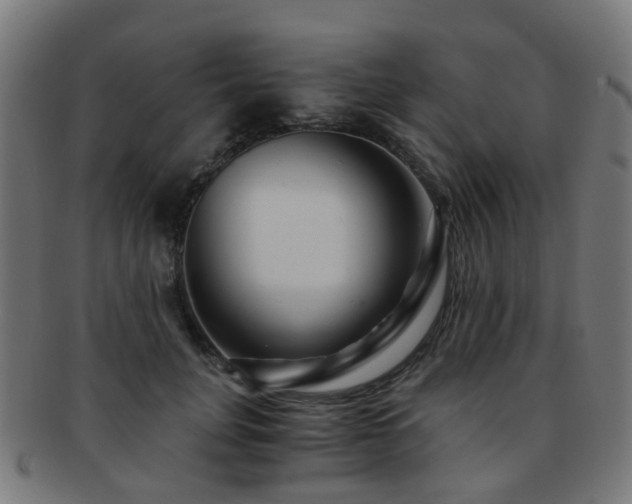 X0000091900751200709051402