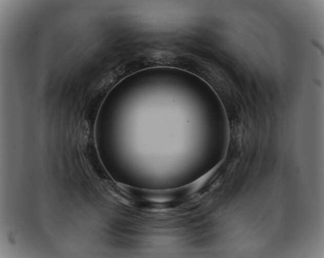 X0000091900752200709051403