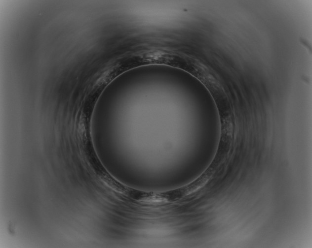 X0000091900754200709051403