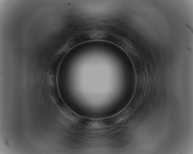 X0000091900755200709051403
