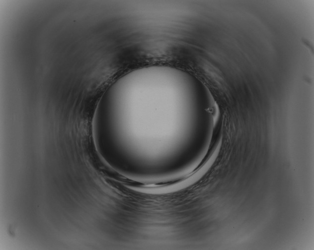 X0000091900756200709051403