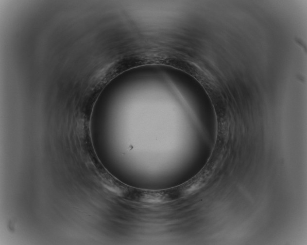X0000091900757200709051403