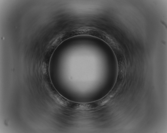 X0000091900758200709051403