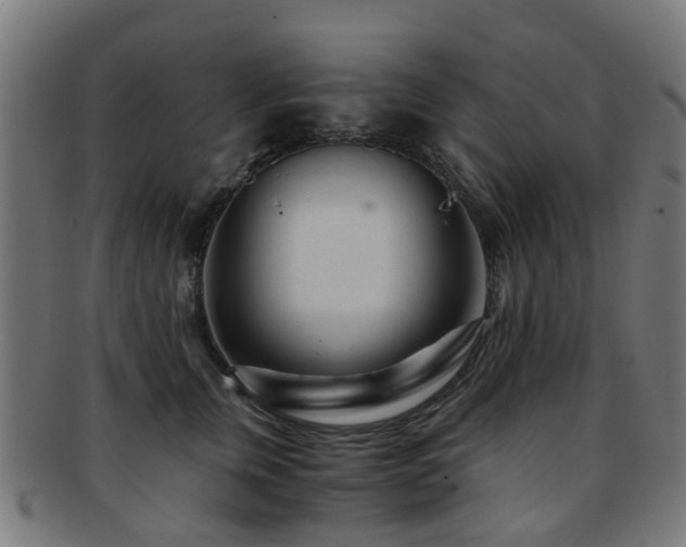 X0000091900759200709051403