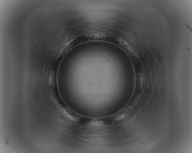 X0000091900760200709051403