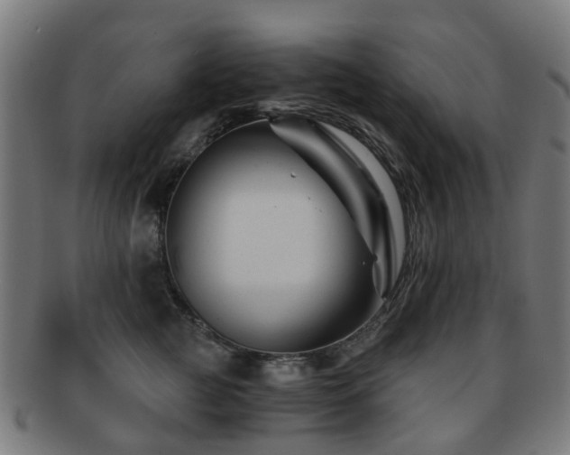 X0000091900761200709051403