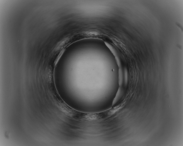 X0000091900762200709051403