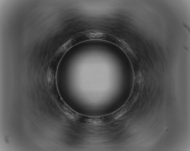 X0000091900763200709051403