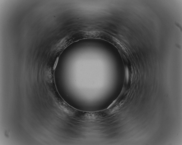 X0000091900764200709051403