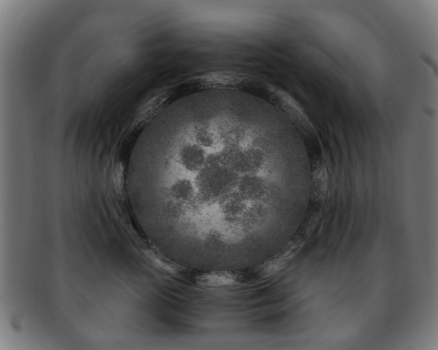X0000091900765200709051403