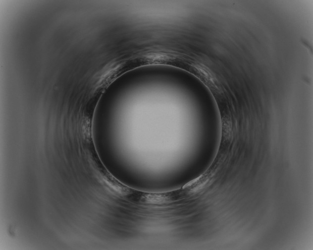 X0000091900766200709051403
