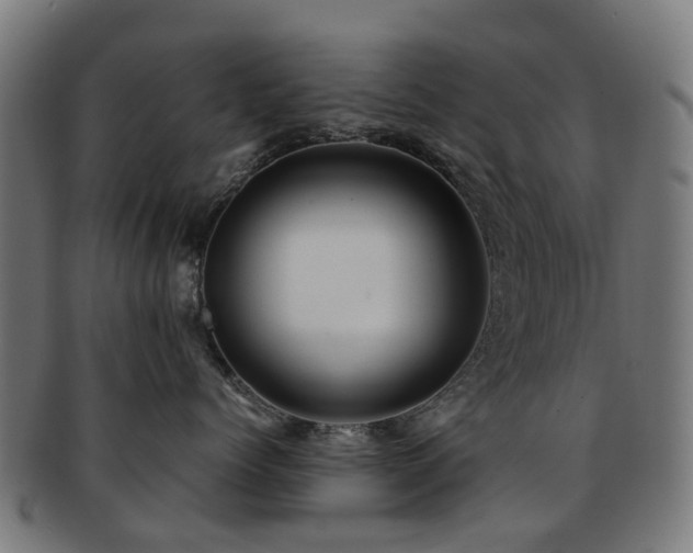 X0000091900768200709051403