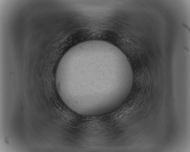 X0000091900769200709051402