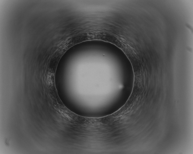 X0000091900770200709051402