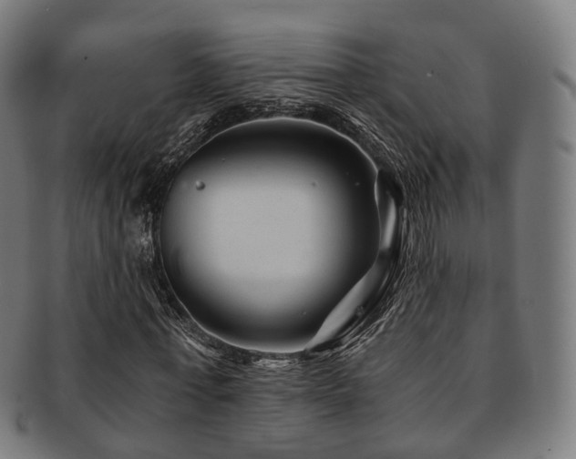 X0000091900771200709051402