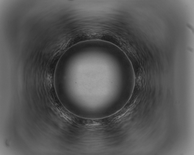 X0000091900772200709051402