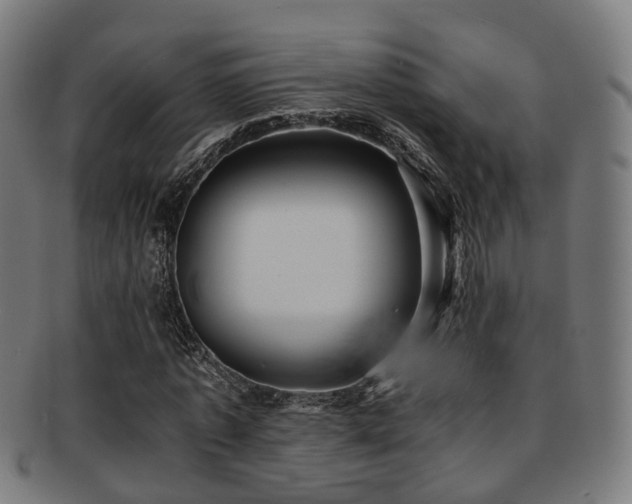 X0000091900773200709051402
