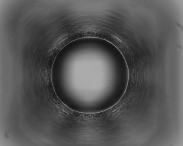 X0000091900774200709051402