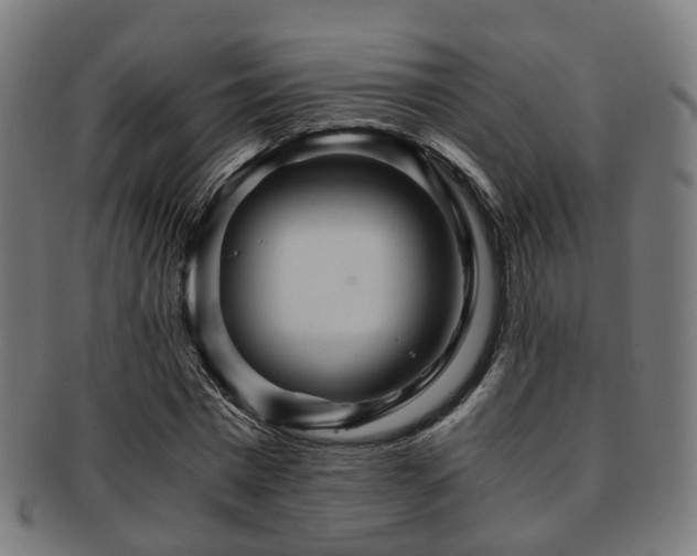 X0000091900777200709051402