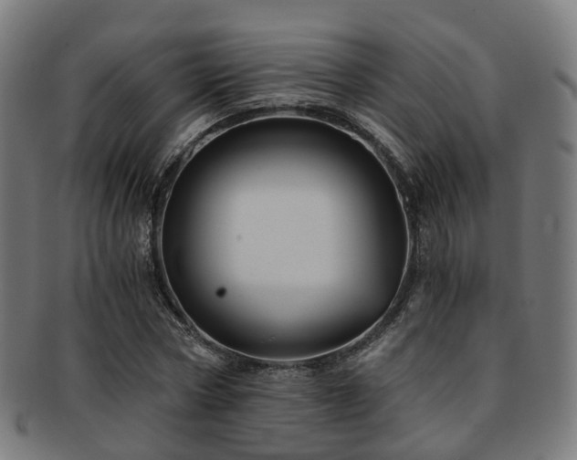 X0000091900778200709051402