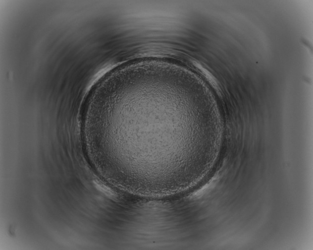 X0000091900779200709051402