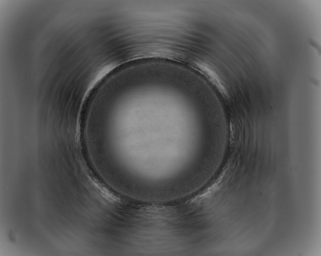 X0000091900780200709051402