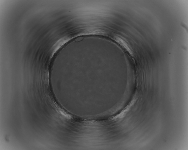 X0000091900781200709051402