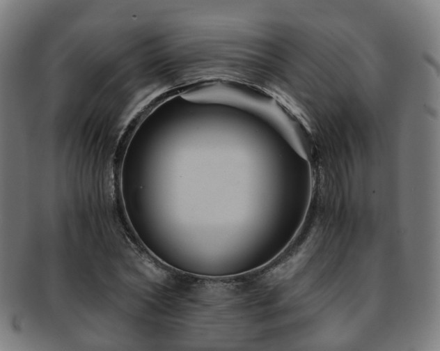 X0000091900782200709051402