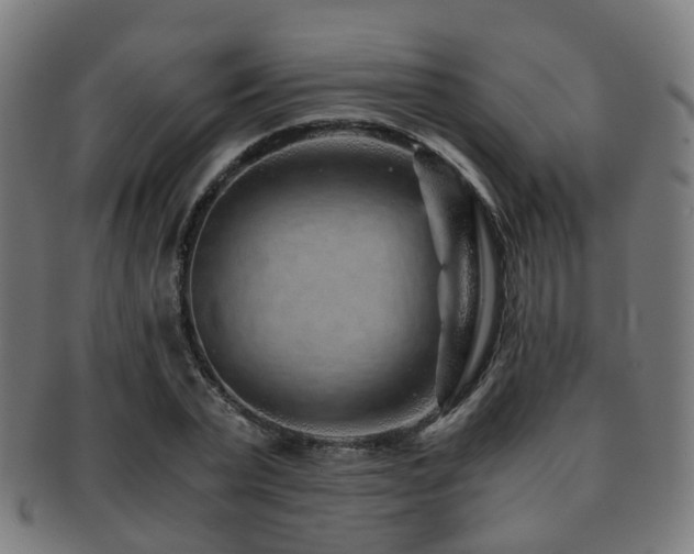 X0000091900783200709051402