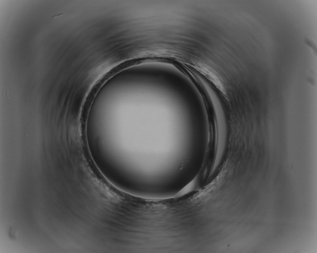 X0000091900784200709051402