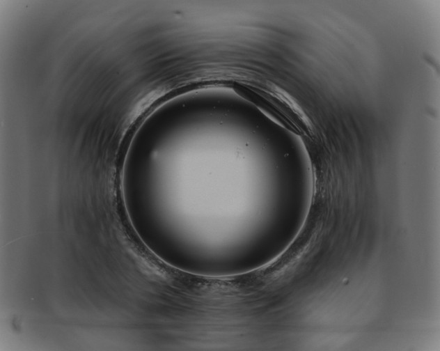 X0000091900786200709051402