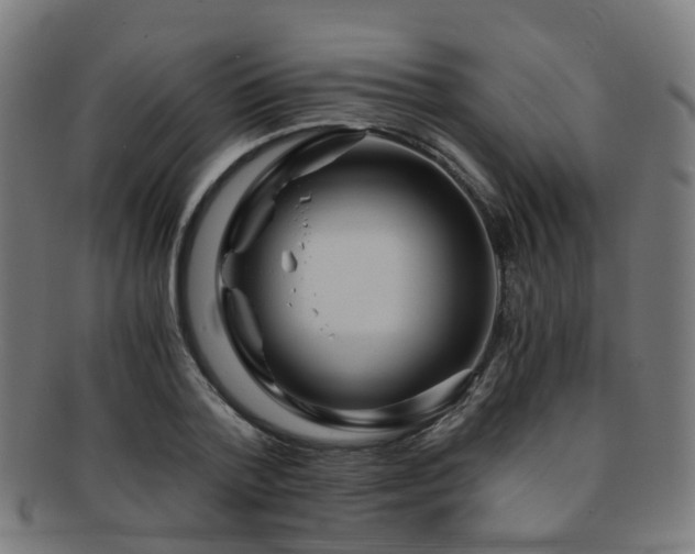 X0000091900788200709051402