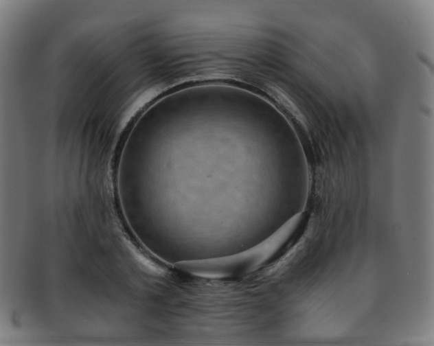X0000091900789200709051402
