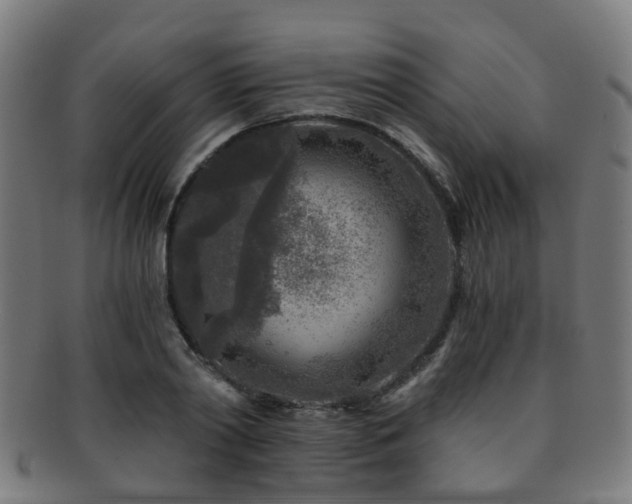 X0000091900790200709051402