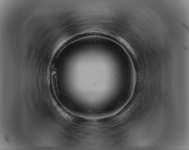 X0000091900791200709051402