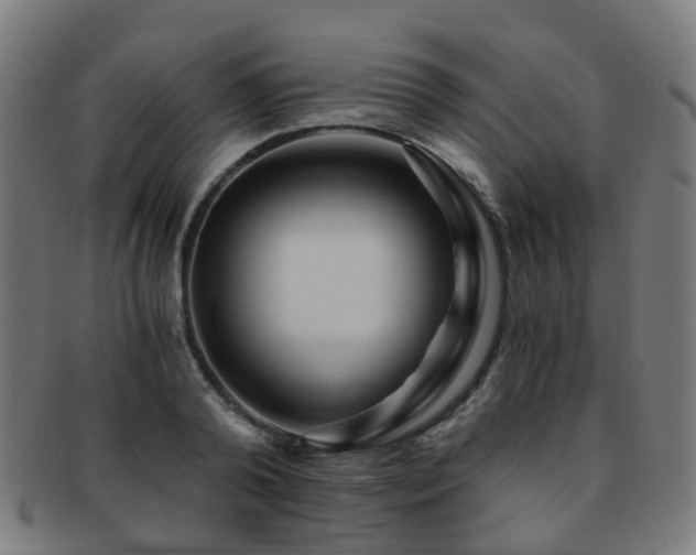 X0000091900792200709051402