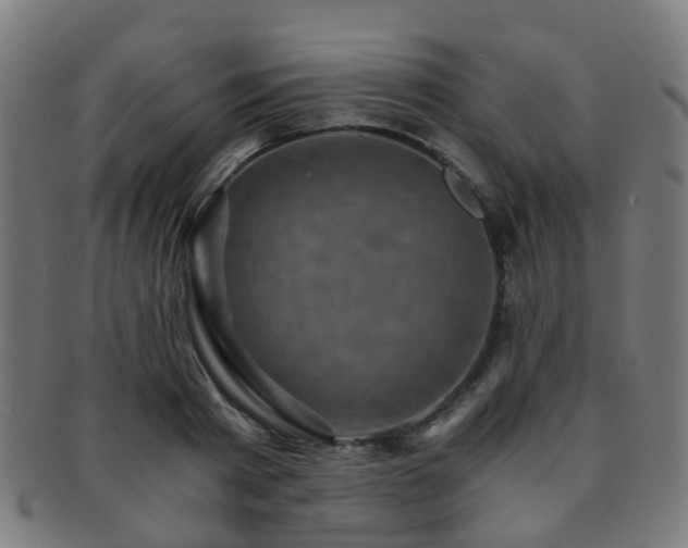 X0000091900793200709051402