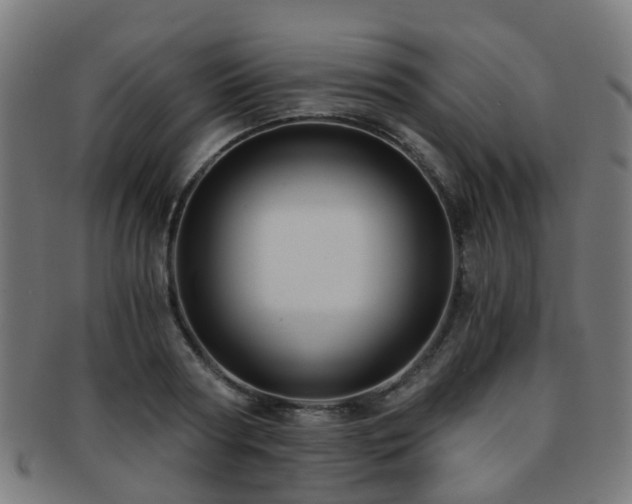 X0000091900794200709051402