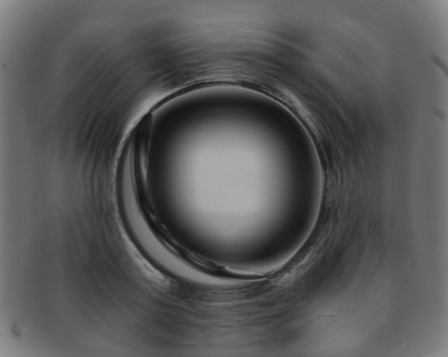 X0000091900795200709051402