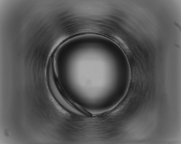 X0000091900796200709051402